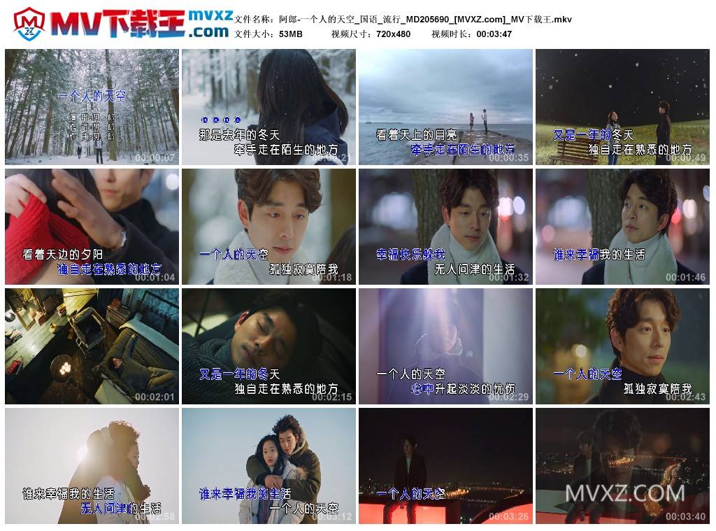 阿郎-一个人的天空_国语_流行_MD205690